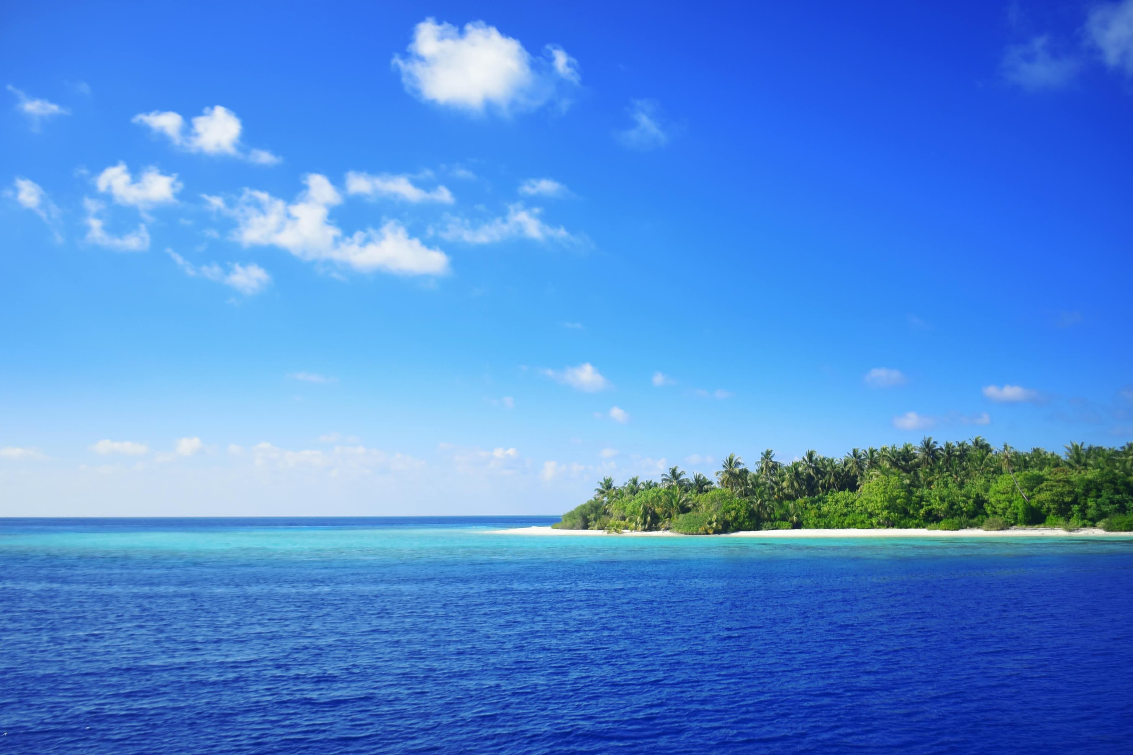 Breathtaking view of a tropical island with lush palms and clear blue waters